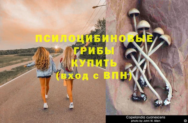 Альфа ПВП Армянск