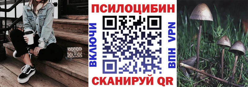 где продают   Свободный  гидра рабочий сайт  Галлюциногенные грибы Magic Shrooms 